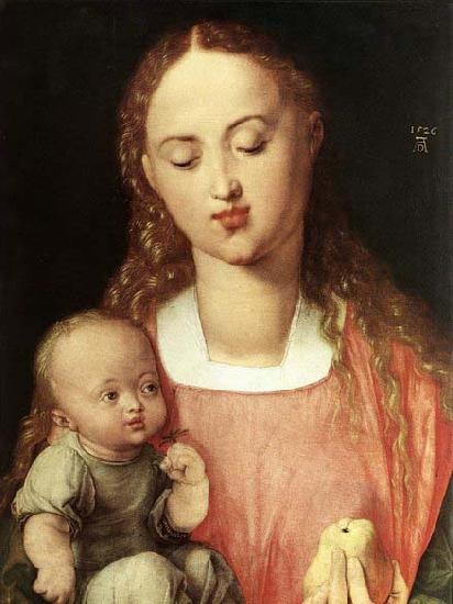 Albrecht Durer Madonna and Child with the Pear Norge oil painting art